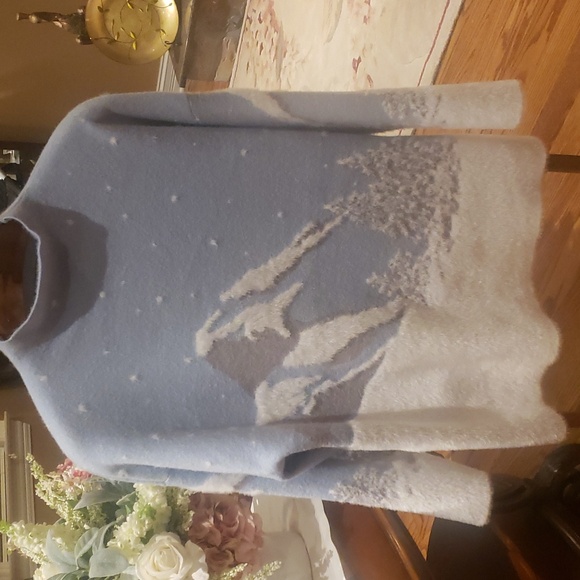 Nwt Rachel ZOE sweater 1x and 2x blue and white - Picture 3 of 14